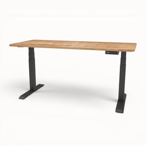 FlowPRO desk