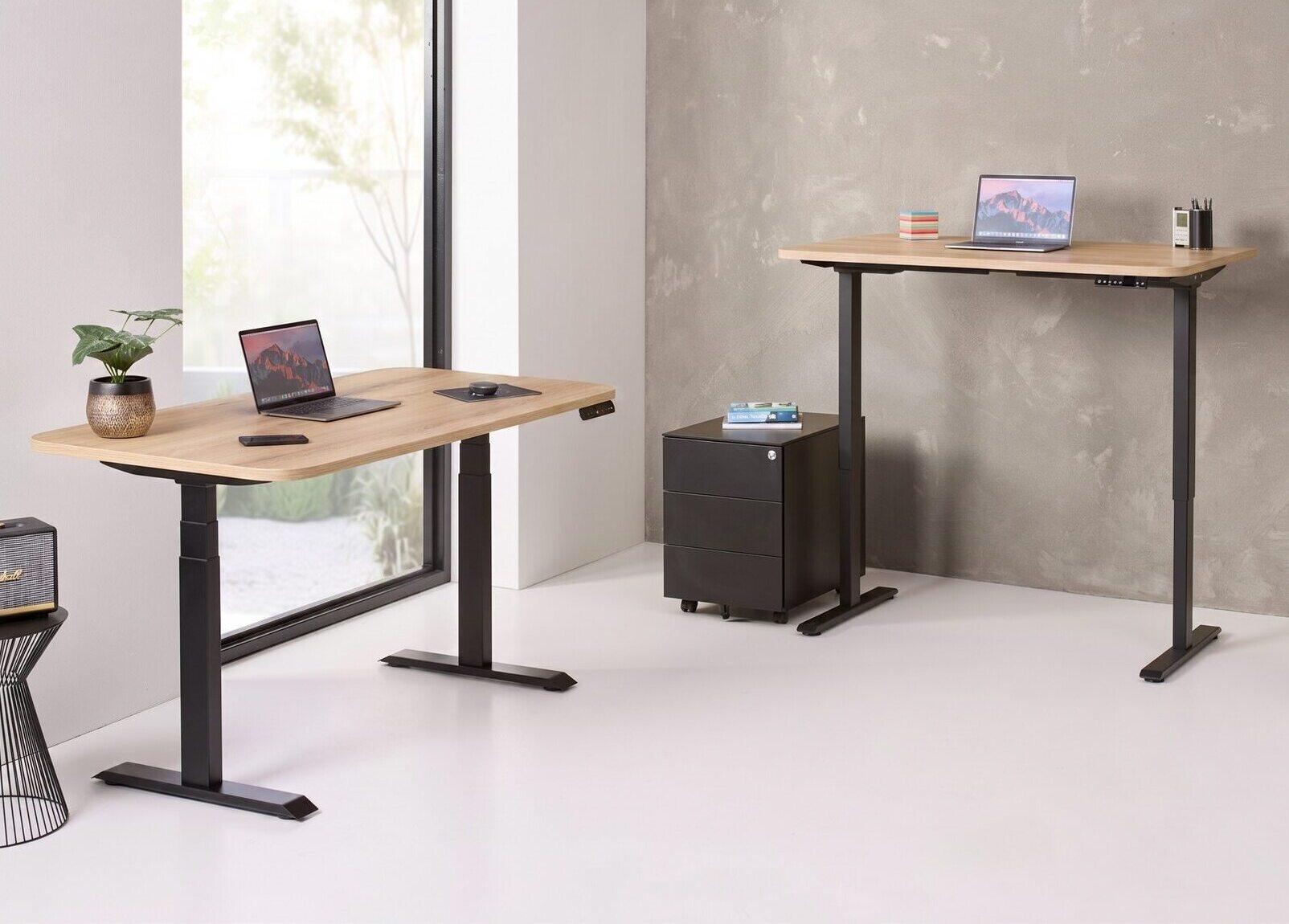 Two adjustable height desks with laptops in a modern office setting.